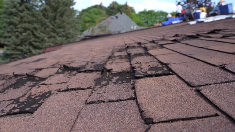 Best Hot Roofs  in Clinton, IL