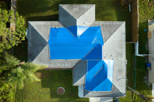 Best Skylight Installation and Repair  in Clinton, IL